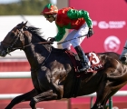 ble-brother-qatar-prix-de-la-place-de-la-concorde-top-winner