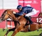 grateful-qatar-prix-de-royallieu