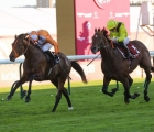 Samedi 5 octobre 2024, Hippodrome ParisLongchamp (Paris). – L’arrivée du Qatar prix Dollar (Gr2), Jayarebe winner