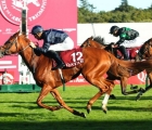 Samedi 5 octobre 2024, Hippodrome ParisLongchamp (Paris). – Course de Groupe 1  Qatar Prix de Royallieu (Gr1) Grateful winner