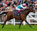 calyx-new-guineas-favourite-stretches-clear-in-the-coventry-stakes