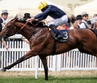 crystal-clear-crystal-ocean-proves-too-good-for-the-rest-and-lands-an-11th-hardwicke-stakes-for-trainer-sir-michael-stoute-royal-ascot-2018
