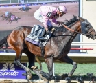 SIERRA LEONE se impuso en la Breeders’ Cup Classic G1 con la monta de Flavien Prat at Del Mar USA 02 11 2024