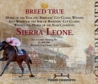 Sierra-leone-bu-tdnl-gun-runner-the-stallion-02-11-2024-usa-del-mar