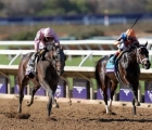 Sierra-leone-beats-fierceness-in-the-breeders_-cup-classic-at-del-mar-usa-02-11-2024-1