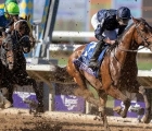 City-of-troy-finished-eighth-in-the-breeders_-cup-classic-won-by-sierra-leone-left -02-11-2024