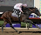 Sierra-leone-wins-breeders-cup-classic-at-del-mar-usa-02-11-2024