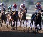 Fierceness-is-going-to-be-defetead-by-sierra-leone-at-del-mar-02-11-2024_-breeders-cup-classic-usa