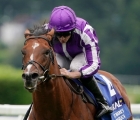 st-marks-basilica-superstar-three-year-old-retired-to-stand-at-coolmore-stud-28-09-2021