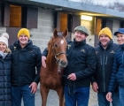 Strong Day 1 At Goffs December Topped By €85,000 No Risk At All Colt, 06 12 2022