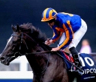 august-rodin-prince-of-waless-stakes-uk-royal-ascot-19-06-2024