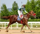 gangpungma-won-the-sports-chosun-trophy-and-returns-in-sunday_s-seoul-feature-_pic-kra_