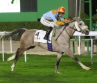 ronan-thomas-et-first-class-remportent-the-al-mnefaah-cup-saudi-arabia-26-02-2022