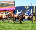 seven-sisters-and-daumier-hold-strong-g1-claims-at-caulfield-aus-25-02-2022