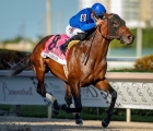 Speaker’s Corner streets ahead of rivals in G2 Gulfstream Park Mile, 05 03 2022 USA