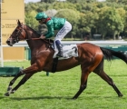 12 09 2024, ParisLongchamp, Zarigana (Siyouni) fait grosse impression sur les 1 600 mètres du Prix d’Aumale (Gr3).