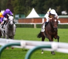 Dimanche 8 septembre 2024, Hippodrome ParisLongchamp (Paris). Sevennah’s Knight (Camelot) a repris sur les 3 000 mètres du Prix Gladiateur (Gr3),