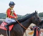 obs-korea-cup-1800m-g3-crown-pride