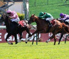 Qatar Prix Foy (Gr2)  Iresine a récupéré son prix, FRA ParisLongchamp 15 09 2024