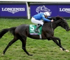 Rebel’s Romance  claimed the G1 Preis von Europa for a second time at Cologne GER on Sunday 22 09 2024