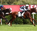 SUPERCOOLED will be consigned by André Fabre as lot 42. Runner-up in a Listed at Chantilly, FRA ARQANA