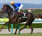 african-gold-goes-wire-to-wire-in-g2-kyoto-kinen-jpn-13-02-2022