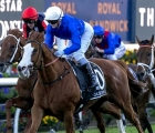 cascadian-out-to-capture-more-glory-in-g1-cf-orr-at-caulfield-aus-11-02-2022