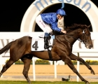 course-scorers-out-to-strike-again-in-g2-singspiel-stakes-uae
