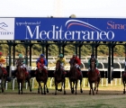 Start at Mediterraneo racecourse Siracusa, 12th jan. 2008ph. Stefano Grasso