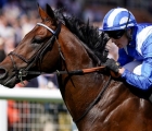 baaeed-put-in-a-five-star-performance-on-his-return-in-the-lockinge-stakes-uk-14-05-2022
