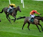 coole-cody-a-likely-leading-player-in-saturdays-racing-post-gold-cup-at-cheltenham-gb-11-12-2021
