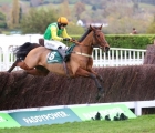 midnight-shadow-the-impressive-winner-of-last-months-paddy-power-gold-cup-will-be-at-cheltenham-11-12-2021-gb