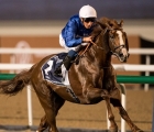 hawkbill-accelerates-to-win-the-sheema-classic-with-ease-race-8
