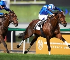 Ertijaal kicked off festivities well with a thrilling defence of the Group 2 $175,000 Meydan Sprint (22 02 18)