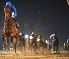 Gold Town (GB) wins the 2018 the UAE 2000 Guineas sponsored by Al Tayer Motors on Feb. 15th, 2018.