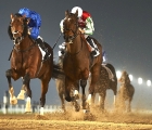 Thunder Snow pounds his way into the Dubai World Cup picture with a Al Maktoum Challenge R2 victory (15/02/18)