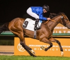 Walton Street 1st Handicap Meydan 22 02 18