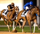 Winter Lightning 1st Listed 1000 Guineas Meydan 08 02 18