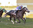 colonel-liam-in-pegasus-world-cup-turf-invitational-stakes-has-won-29-01-2022-at-gulfstream-park-usa