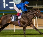 island-falcon-swoops-to-conquer-in-jumeirah-derby-trial-meydan-uae-21-01-2022