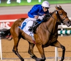 sovereign-prince-jumeirah-classic-trial-14-01-2022-uae-godolphin