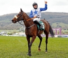 belfast-banter-g3-country-hp-hurdle-uk-cheltenham-2021