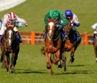 black-tears-left-collars-concertista-green-in-the-mares-hurdle-uk-cheltenham-16-03-2021