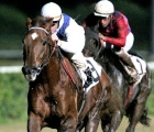 Olivier Peslier on Great Challenge wins Premio SiracusaSiracusa, 15th january 2006ph. Stefano Grasso