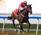 more-distance-no-problem-for-salute-the-soldier-in-g1-al-maktoum-challenge-r3-06-03-2021-uae