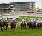 mount-ida-second-left-black-and-white-has-work-to-do-heading-towards-the-stands-for-the-first-time-uk-cheltenham-18-03-2021