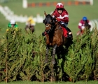 tiger-roll-on-board-keith-donoghue-jumps-the-final-obstacle-and-wins-the-cross-country-uk-cheltenham-17-03-2021