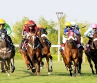 4th-al-rayyan-race-meeting-umm-bab-cup-div-2-16-11-2024-qatar