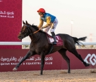 r7-wafei-al-rakayat-cup-6