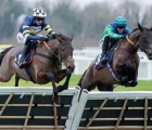 uk-windsor-jubilee-alpha-cut-to-8-1-for-festival-target-and-_will-go-straight-to-cheltenham_-after-i